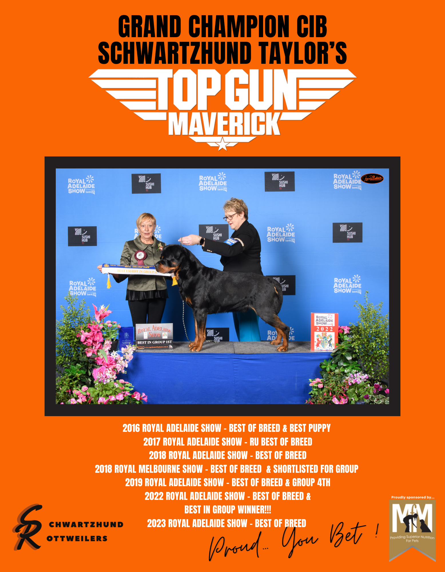 Maverick — Aust Grand Ch, CIB, A2O Ch (FCI Asia, Africa & Oceania) Schwartzhund Taylors Top Gun (AI)