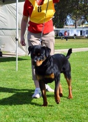 Bond photo 5