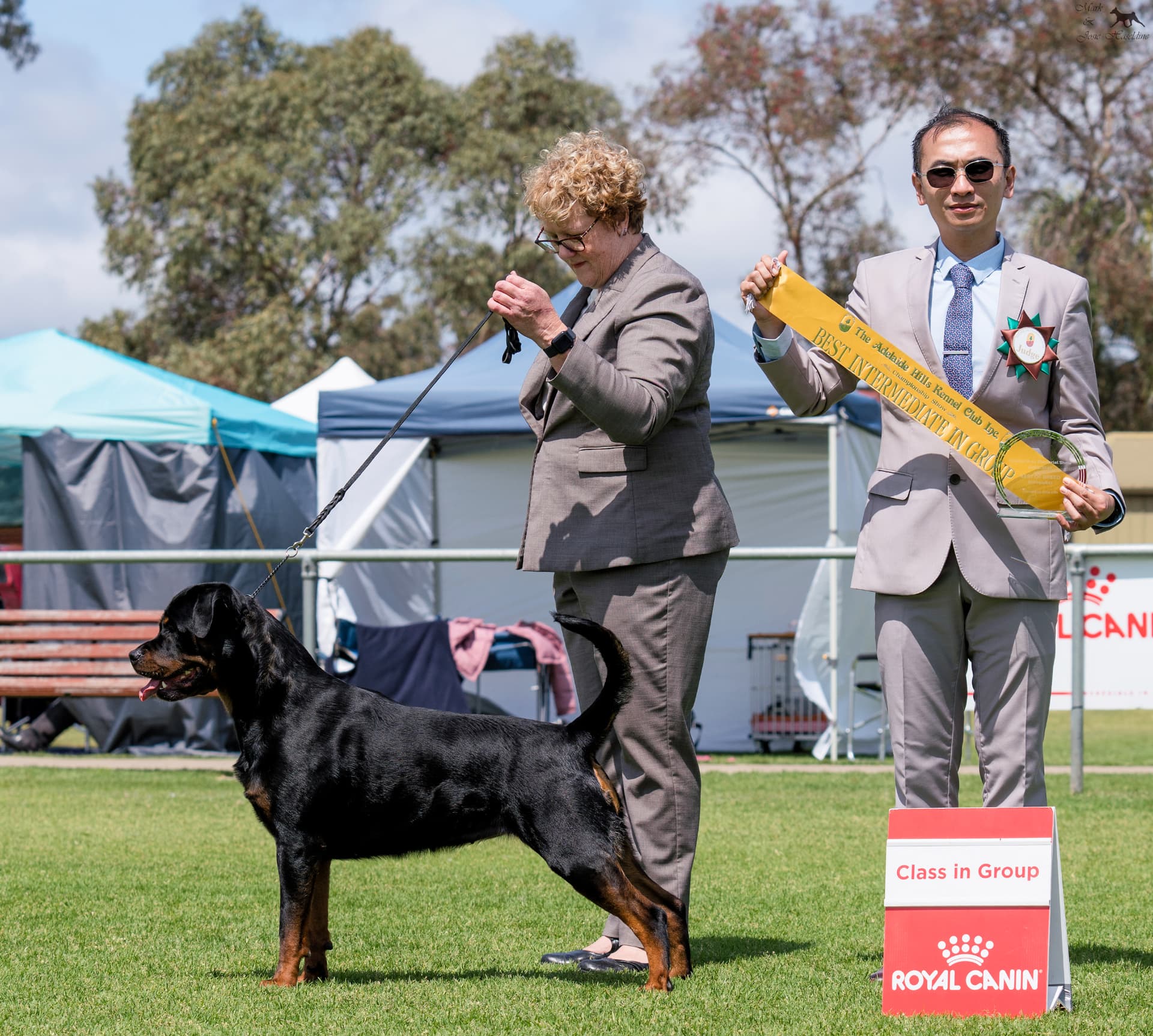 Missi — Aust Ch Schwartzhund Mystify