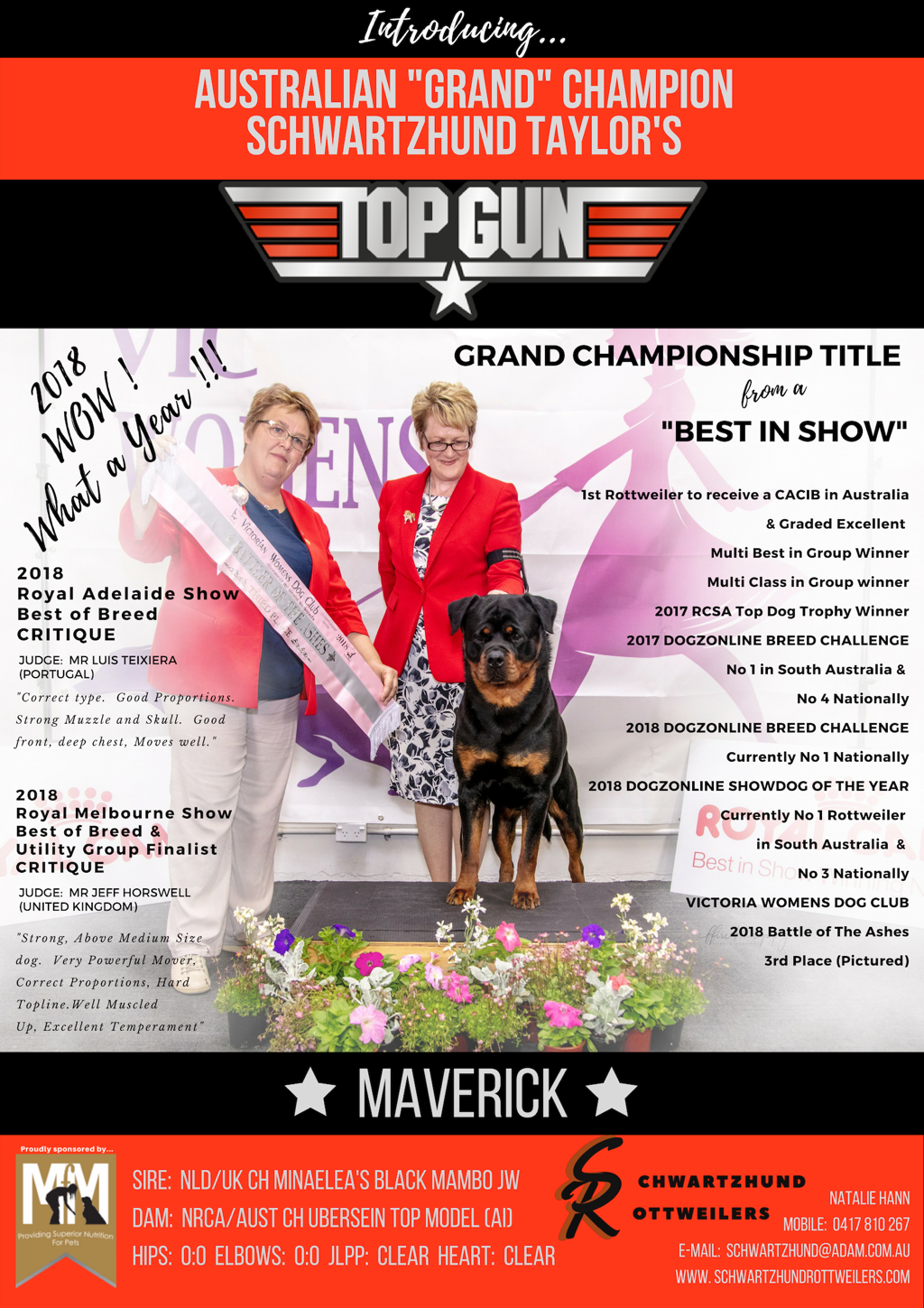 Maverick photo 7