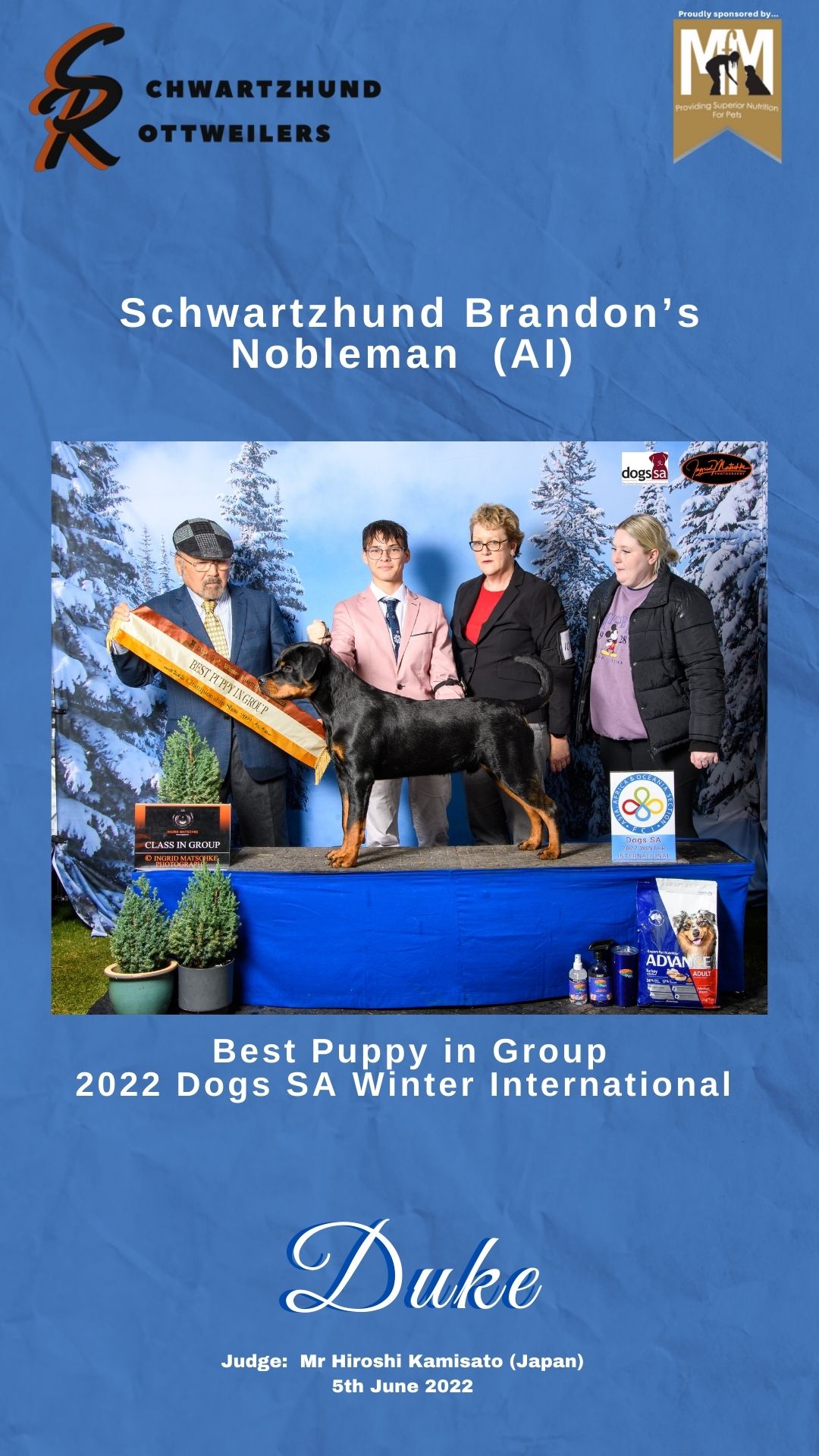 Duke — Aust Ch Schwartzhund Brandons Nobleman (AI)