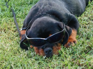 Bond photo 6